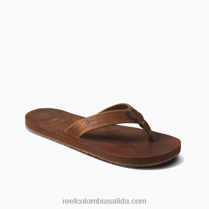 hombresfaherty x arrecife dibujantes XDDFR311 marrón padre