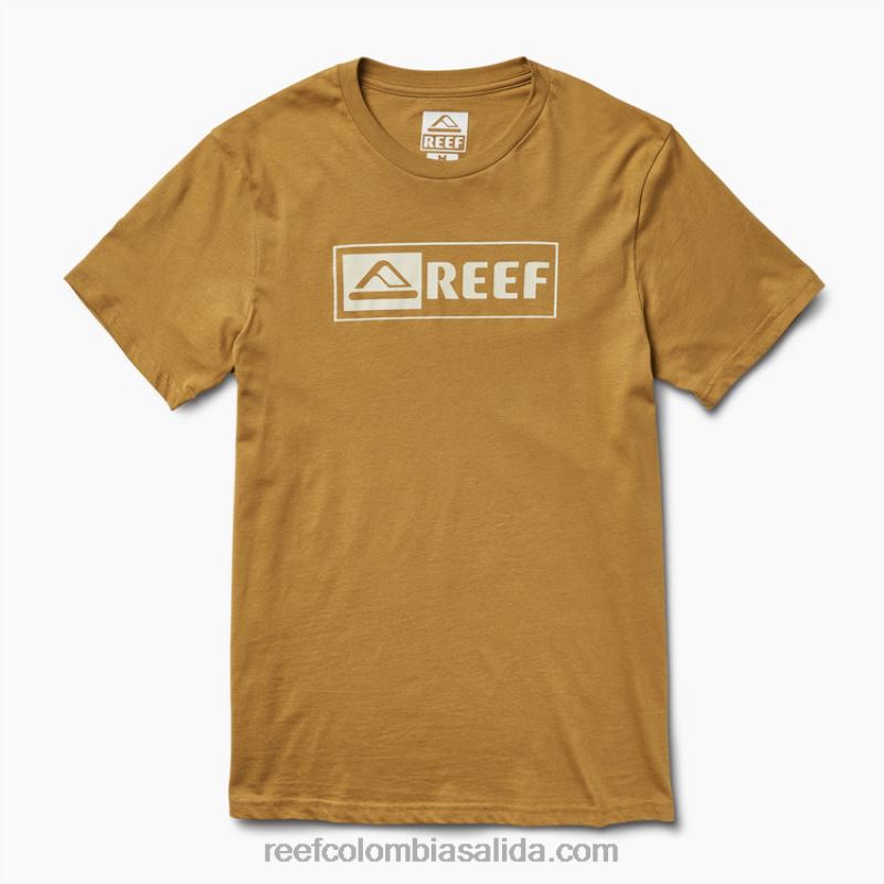 hombres Reef camiseta de manga corta ellsworth XDDFR593 semillas de hinojo