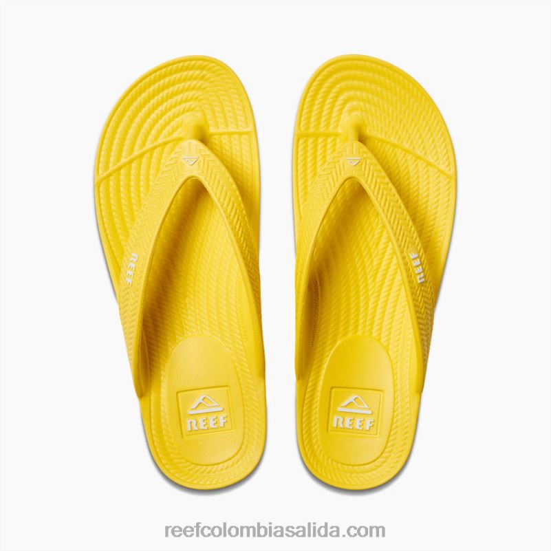 mujer Reef corte de agua XDDFR99 soleado